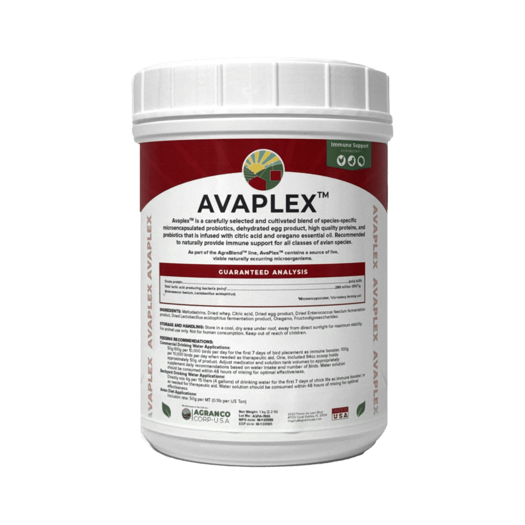 Avicultura 2