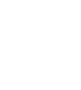 Avicultura 1 aviar