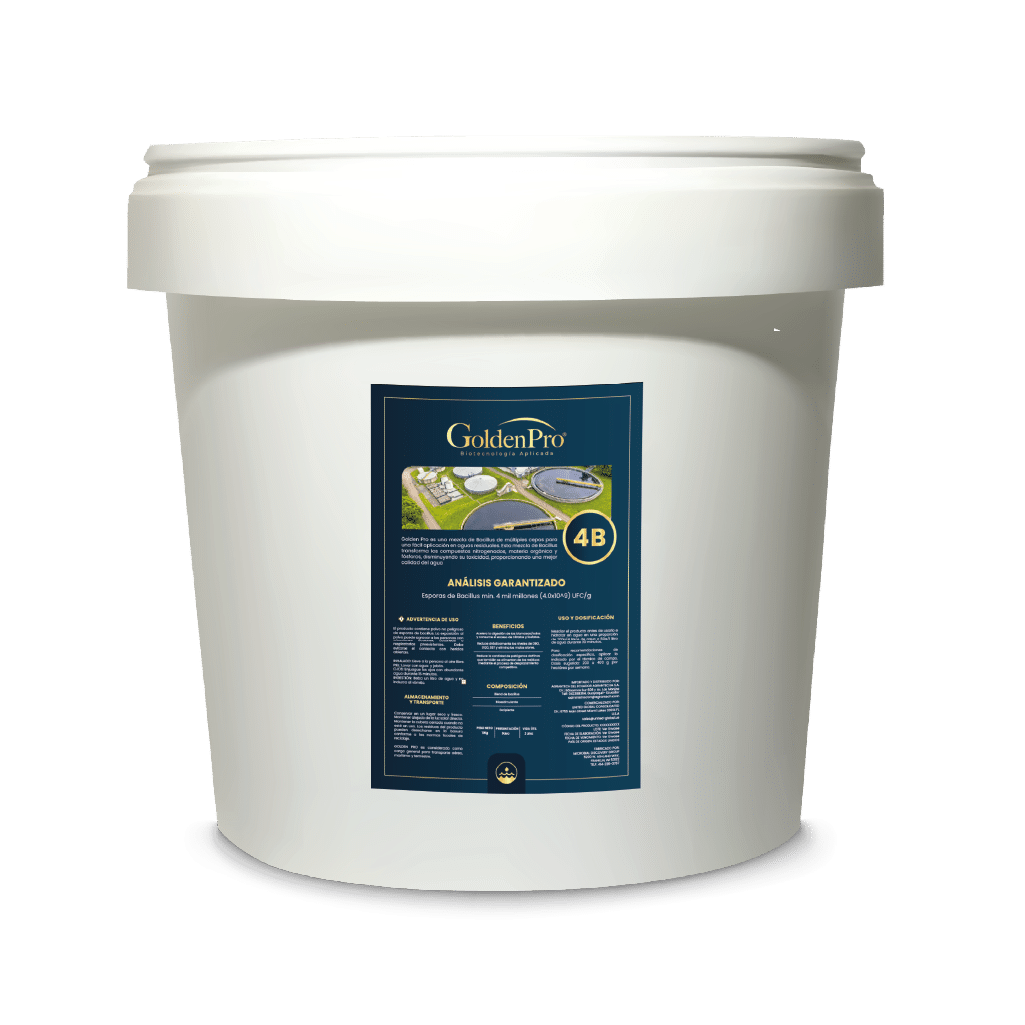 goldenpro2