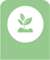 plant health